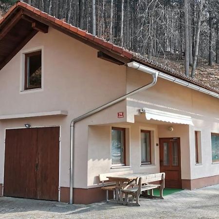 Apartma Regina Slovenj Gradec Zewnętrze zdjęcie