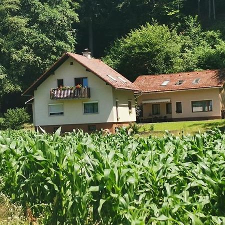 Apartma Regina Slovenj Gradec Zewnętrze zdjęcie