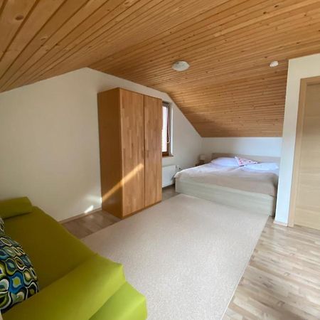 Apartma Regina Slovenj Gradec Zewnętrze zdjęcie