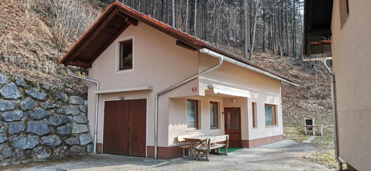 Apartma Regina Slovenj Gradec Zewnętrze zdjęcie