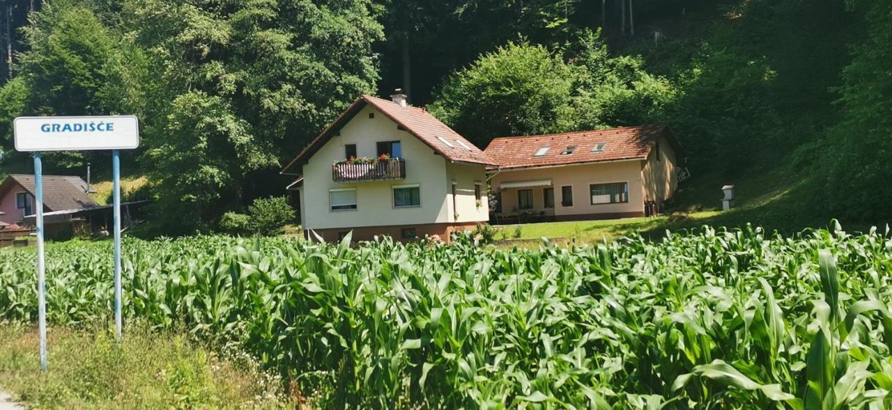 Apartma Regina Slovenj Gradec Zewnętrze zdjęcie