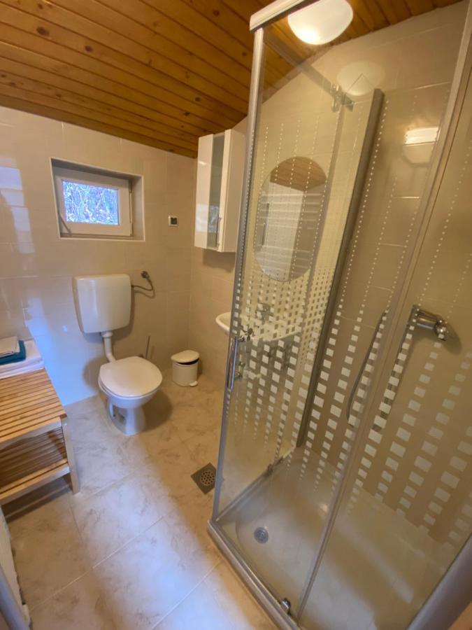 Apartma Regina Slovenj Gradec Zewnętrze zdjęcie