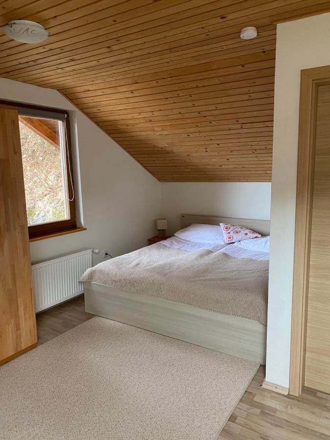 Apartma Regina Slovenj Gradec Zewnętrze zdjęcie